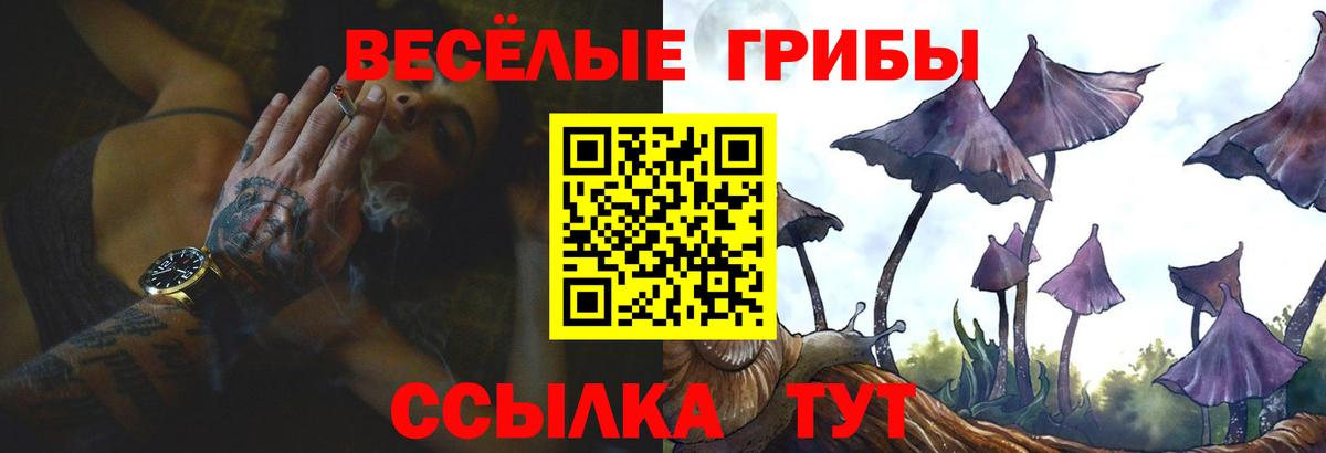 Псилоцибиновые грибы Psilocybe  Вход с VPN  Чебаркуль 